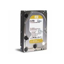DD INTERNO WD GOLD 35 2TB SATA3 6GB S 128MB 7200RPM 24X7 HOTPLUG P NAS NVR SERVER DATACENTER