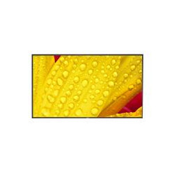 MONITOR PROFESIONAL NEC DE 43 ME431 UHD 3840 X 2160 18 7 VERTICAL HORIZONTAL HDMI DISPLAYPORT HDCP USB RJ 45 INTELa SDM Y RPI4 