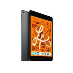 IPAD MINI CON WI FI 64 GB GRIS ESPACIAL