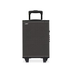 BAFLE AMPLIFICADO RECARGABLE BOCINA PROFESIONAL DE 8 PULG 6800W PMPO PORTATIL CON RUEDAS CAJN DE MADERA Y MANIJA RETRACTIL BT U